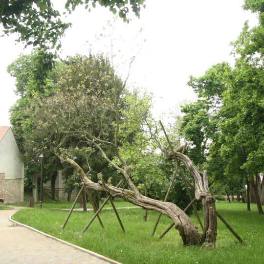 Zámecký park Moravské Budějovice