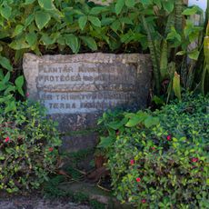 Marco de Tributo à Árvore II