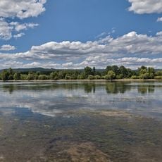 Wanderfischgebiete im Rhein