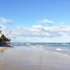 Praia do Francês