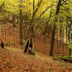 Panemuninkų skardis