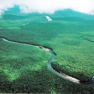 Delta del Orinoco Biosphere Reserve