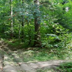 Rezerwat przyrody Rezerwat Tysiąclecia na Cergowej Górze