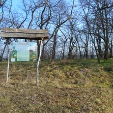 Révajovská pustatina