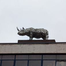 Rhinoceros