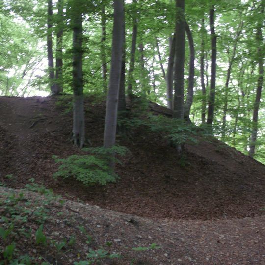 Burgstall Burgselberg