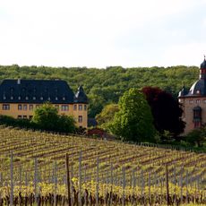 Château de Vollrads