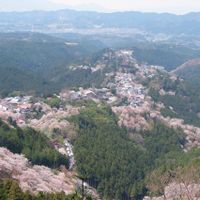 Mount Yoshino
