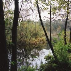 Igelsee