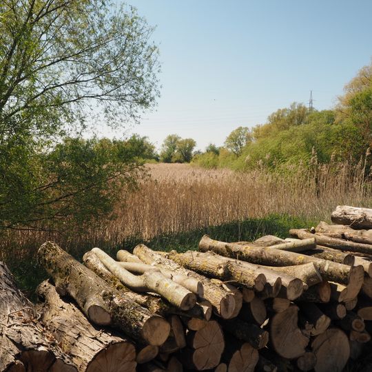 Altwasser bei Donauwörth