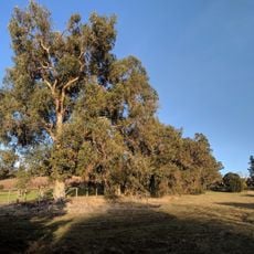 Esther Clark Park