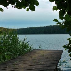 Чарне
