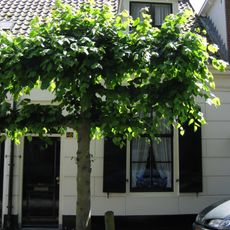 Gansoordstraat 48, Naarden