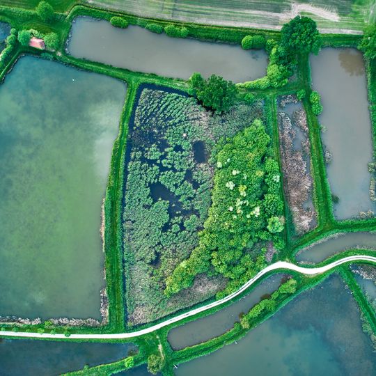 Örtlbergweiher mit Örtlberg