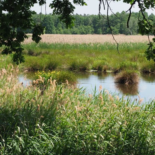 Vierteich Freitelsdorf