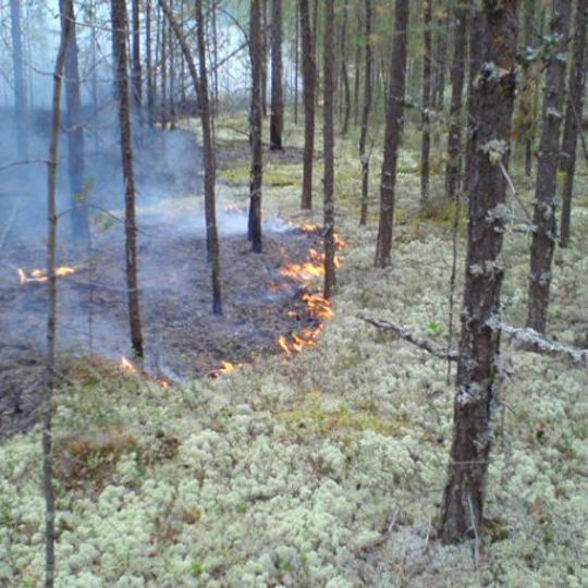 Little Sosva Nature Reserve