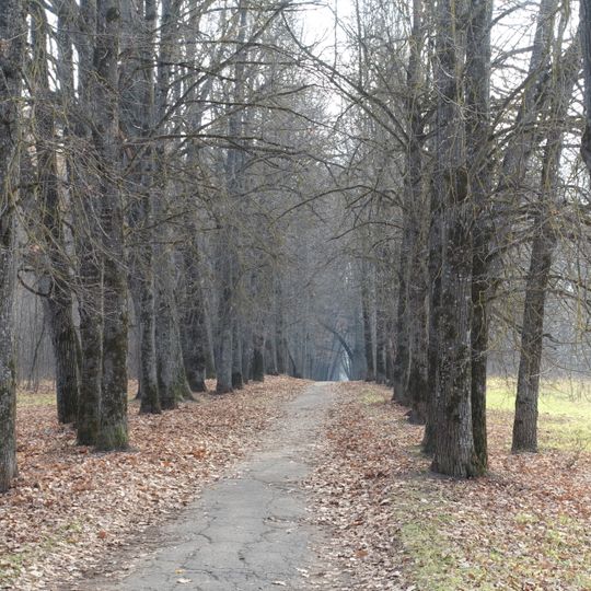 Елизаветинская аллея