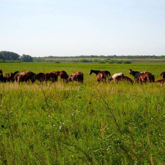 Distretto di Terektí
