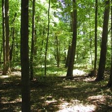 Evansburg State Park