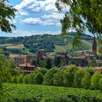 Castelvetro di Modena