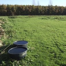 Terrein waarin sporen van bewoning