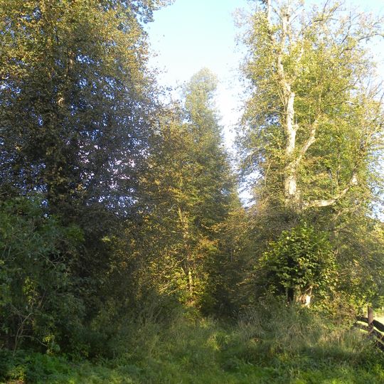 Kościół ewangelicki, ob. rzym.-kat. Matki Boskiej Królowej Polski