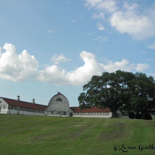 Central Louisiana State Hospital Dairy Barn
