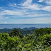 Surinam