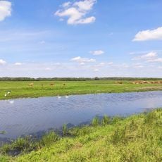 Ujście Warty National Park