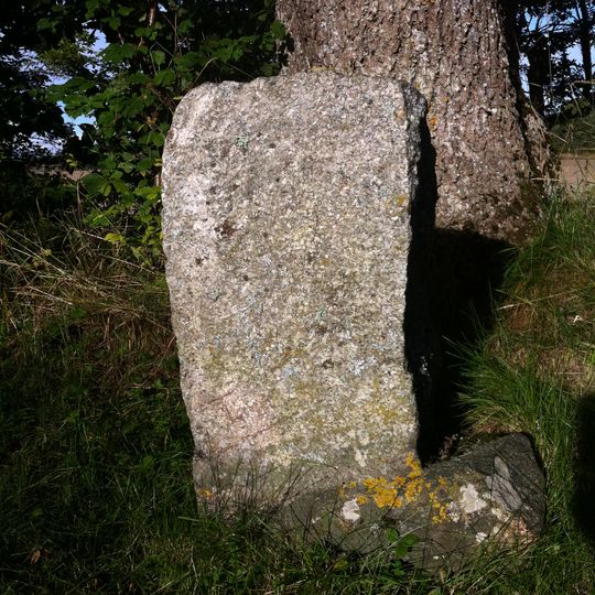 Uppland Runic Inscription 626