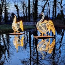 Sezonowa wystawa Książęcy Park Iluminacji ,,Baśniowe Zatonie”