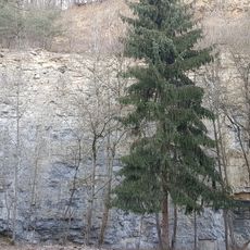 Naturdenkmal Steinbruch Vordere Brehmenleite