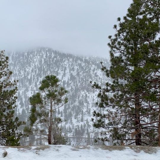 Buckhorn Ski Club
