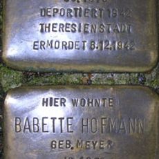 Alfred Max Hofmann