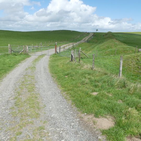 Offa's Dyke: section  on the western slope of Llanfair Hill, 1.4km south west of Burfield