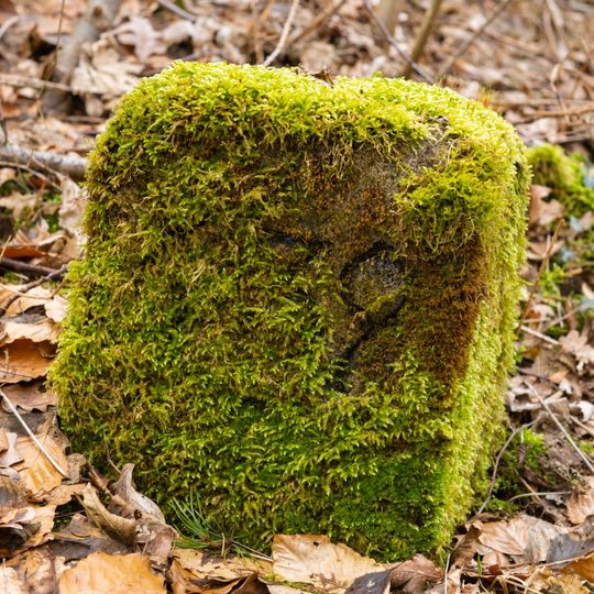 Grenzstein Fürther Stadtwald in Fürth