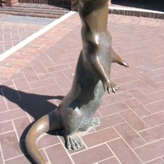 Fischotter