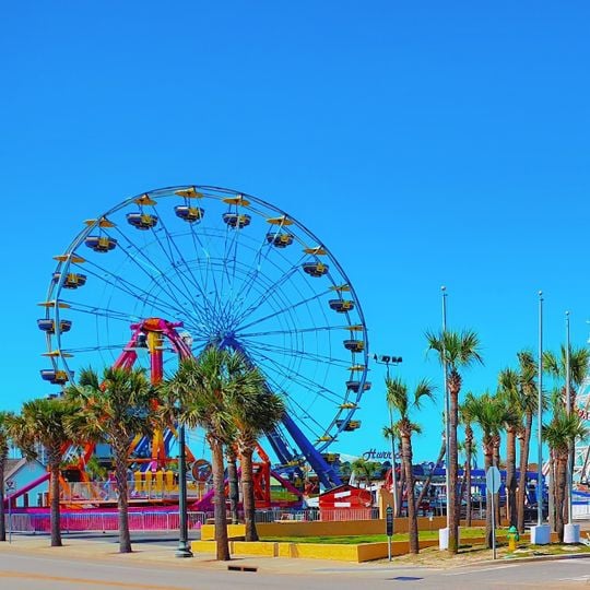 Family Kingdom Wheel