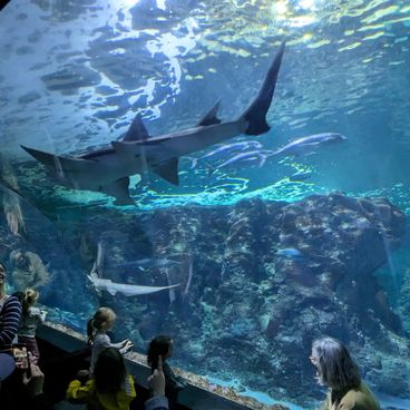 Odkryj atrakcje turystyczne Brestu