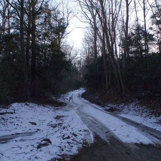 Cockaponset State Forest