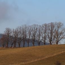 Stromořadí na Šibenici