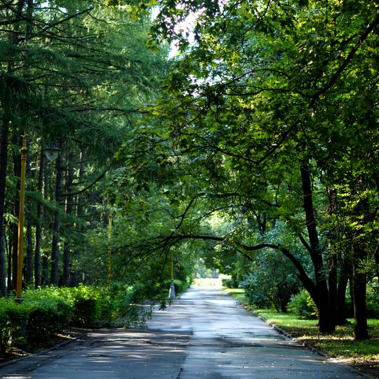 Park of Moscow State University