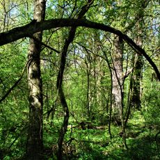 Nature reserve Stawiska