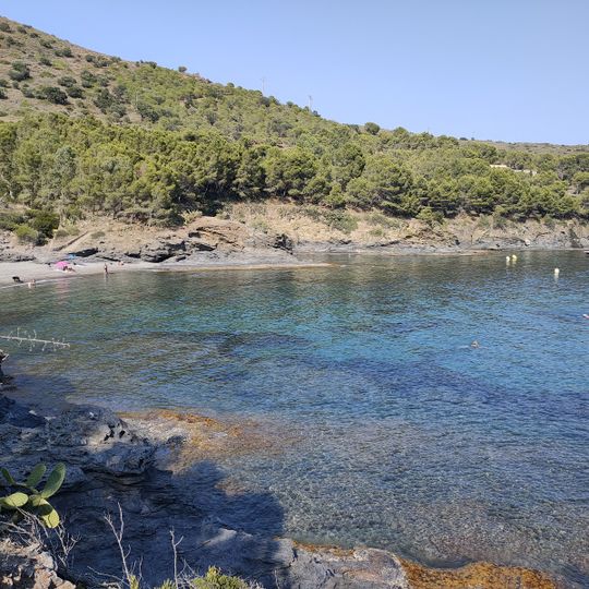 Cala Calitjàs