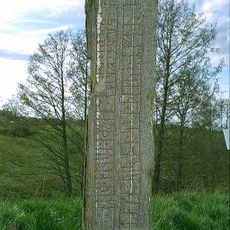 Västergötlands runinskrifter 113