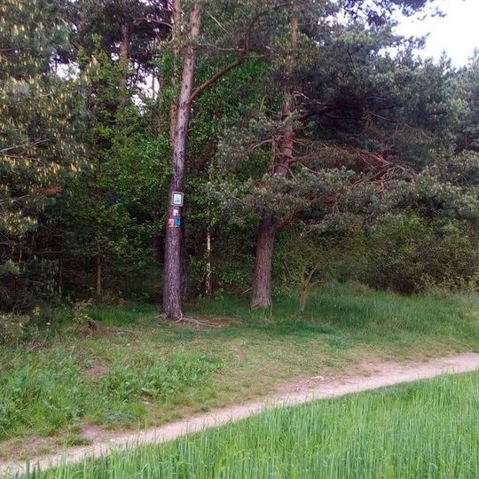 Obrázek u Sytné nad Košutkou