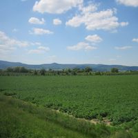 Mußbach an der Weinstraße