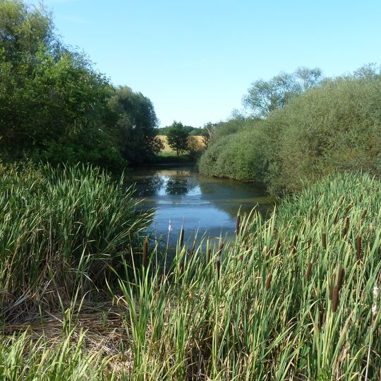 Weiher bei Goldshöfe
