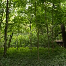 Alter Gutshof Düppel