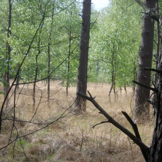 Schwarzes Moor bei Gavendorf